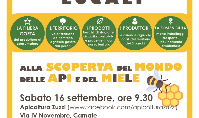 Sabato 16 settembre: alla scoperta dell’apiario