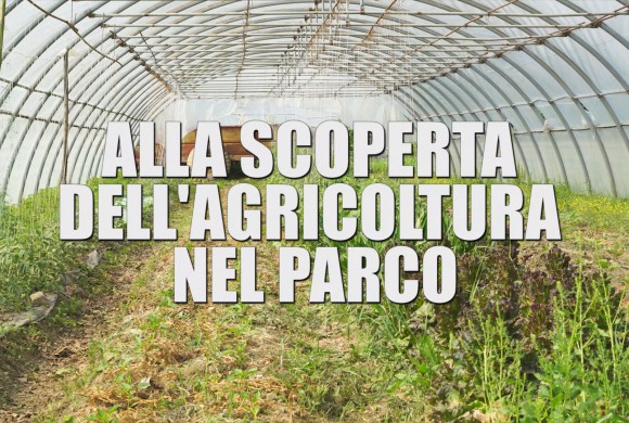 Domenica 5 Maggio: presentazione del video “Alla scoperta dell’agricoltura nel Parco”