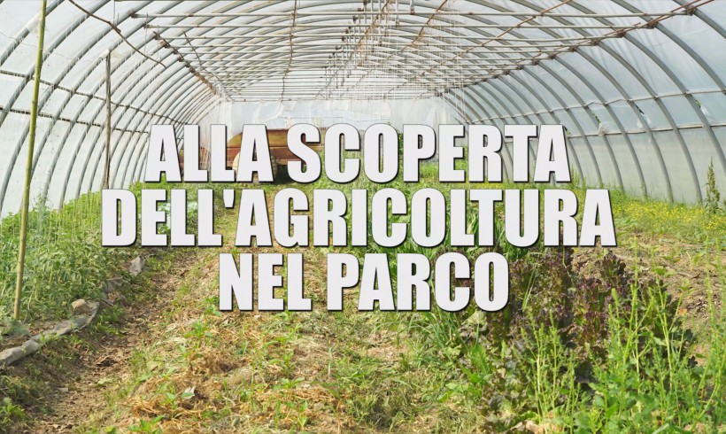 Domenica 5 Maggio: presentazione del video “Alla scoperta dell’agricoltura nel Parco”