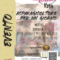 Martedì 25 aprile e Domenica 07 maggio 2023 – ASPARAGICOLTORE PER UN GIORNO