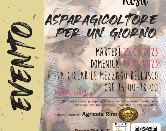 Martedì 25 aprile e Domenica 07 maggio 2023 – ASPARAGICOLTORE PER UN GIORNO